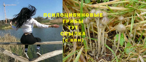 альфа пвп Нязепетровск