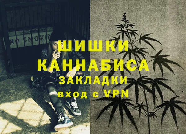 соль ск Бикин