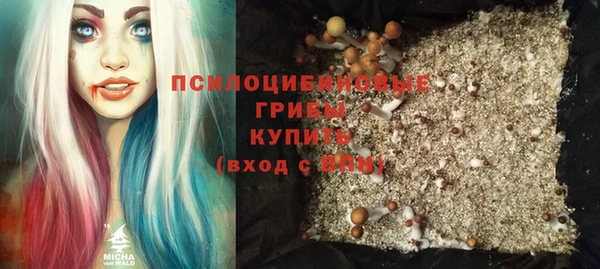 MDMA Няндома