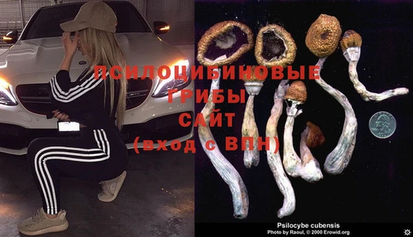 герыч Новодвинск