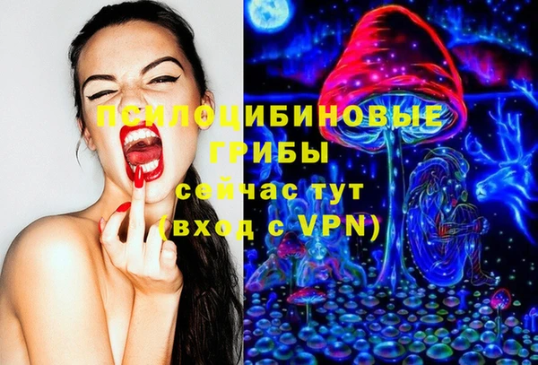 герыч Новодвинск