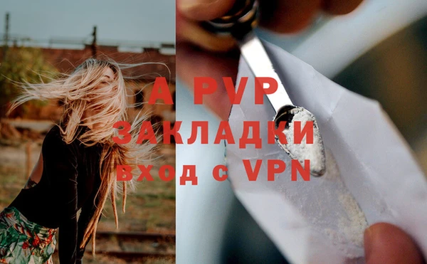 винт Новозыбков