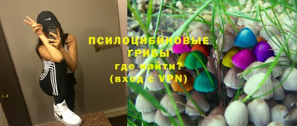 герыч Новодвинск