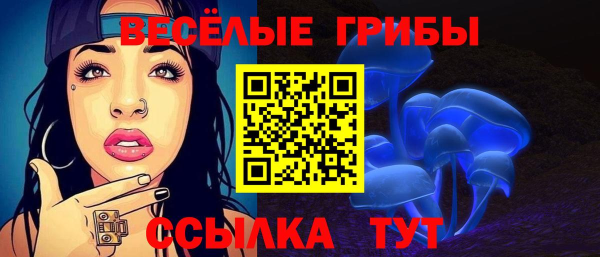 Псилоцибиновые грибы GOLDEN TEACHER Урус-Мартан